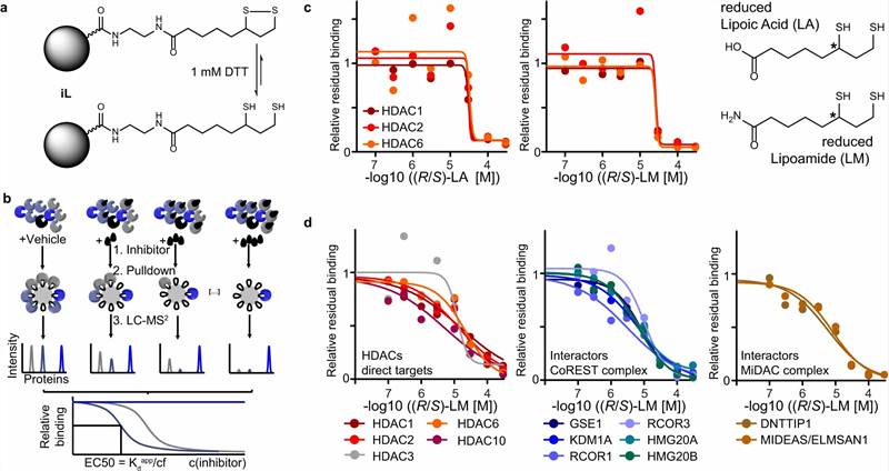 Advancements in Protein Methylation Research
